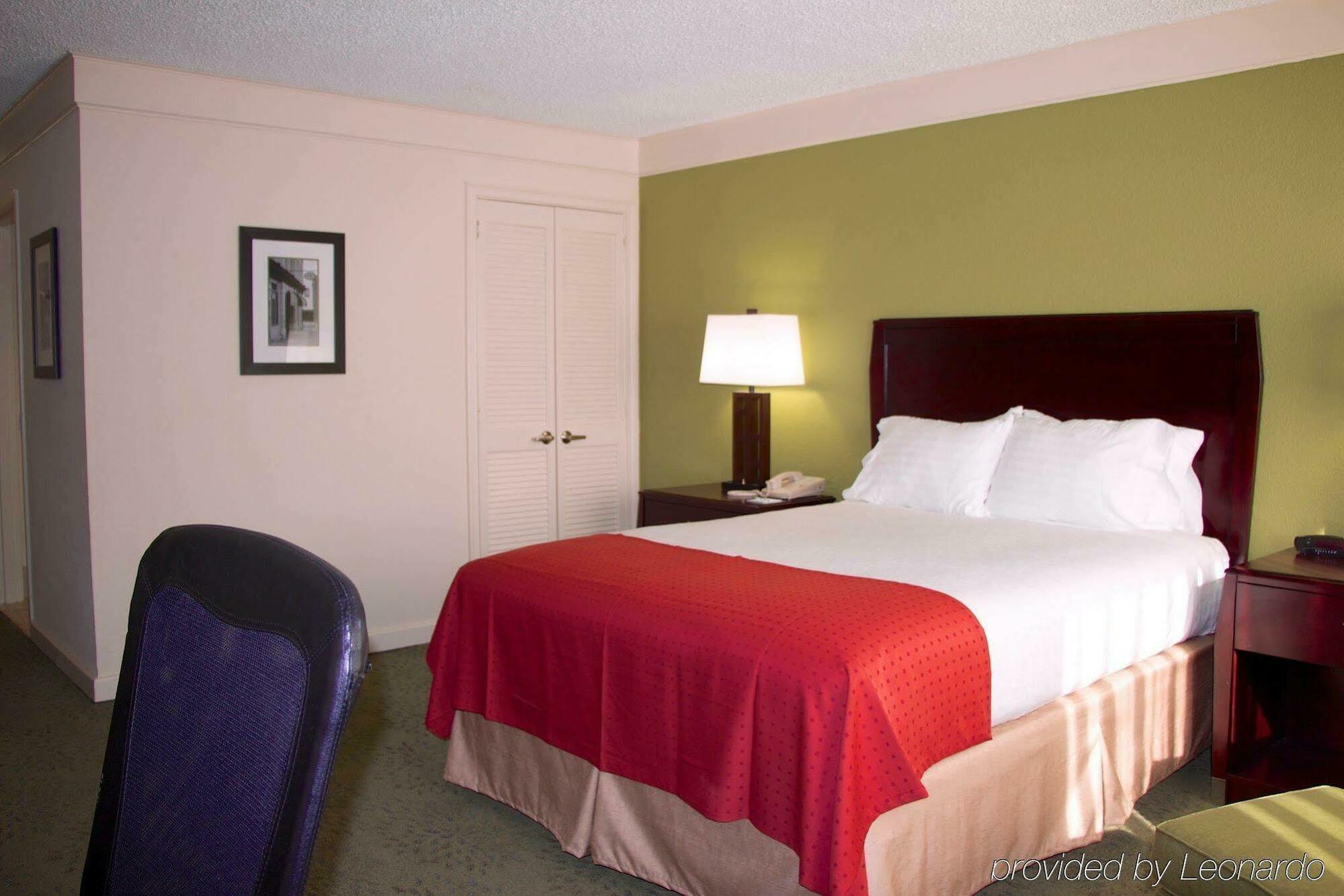 Holiday Inn Athens - University Area Екстер'єр фото